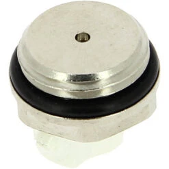 WATTS Bouchon Purgeur Chromé Pour Radiateur 15-21