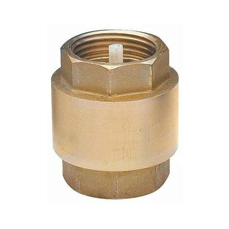 Clapet De Retenue Universel Double Femelle 3/4 (20x27) - NOYON 1 Clapet De Retenue Universel Double Femelle 3/4 (20x27) - NOYON