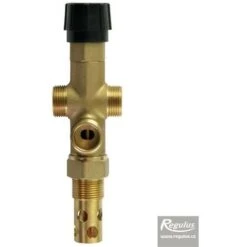 Soupape Double Thermique Thermostatique REGULUS DBV1