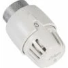 Tête Thermostatique TL10 - RBM : 5900000