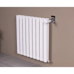 Kit Complet Robinet De Radiateur Thermostatique équerre 15x21 NOYON & THIEBAULT Nickelé/blanc -Atlantic Magasin 49929594 3