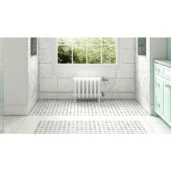 Radiateur Fonte Sur Pieds - Hauteur 470mm - Longueur 80mm - 44 Watt - Epaisseur 225mm - Contenance 1.65L - OXF470/80WS3 -Atlantic Magasin 50435951 5