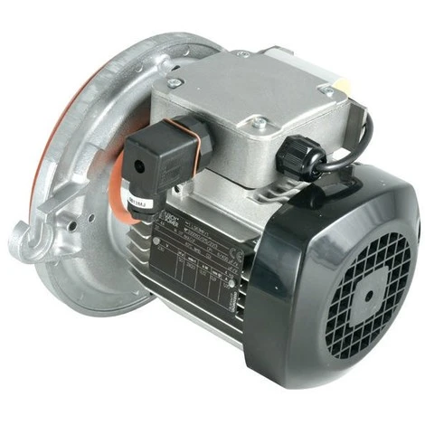 Moteur LS 63 120W Réf. 60077 ATLANTIC GUILLOT, Moteur, LS63 1 Moteur LS 63 120W Réf. 60077 ATLANTIC GUILLOT, Moteur, LS63