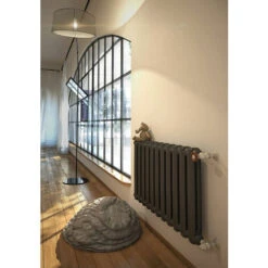 Radiateur Fonte Sans Pieds - Hauteur 580mm - Longueur 80mm - 73 Watt - Epaisseur Mm - Contenance 0.68L - BAR580/80FB3 -Atlantic Magasin 72558125 4