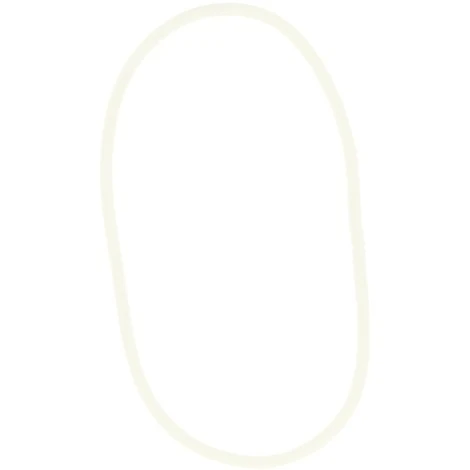 Joint Bac Condensats Sgb40 120 Réf SRN997447 PCE DET CHAPPEE/BROTJE/IS CHAUFF, Joint Bac Condensats 1 Joint Bac Condensats Sgb40 120 Réf SRN997447 PCE DET CHAPPEE/BROTJE/IS CHAUFF, Joint Bac Condensats