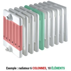 Radiateur Fonte Rideau - Hauteur 690mm - Longueur 60mm - 135.2 Watt - Epaisseur 164mm - Contenance 1.2L - E569/1 -Atlantic Magasin 8246788 3
