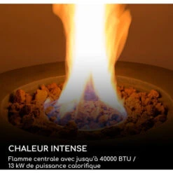 Chauffage à Gaz - Blumfeldt Pilos - 40.000 Btu/13kw - Couverture Brûleur En Acier Inoxydable - Gris -Atlantic Magasin 88716219 3