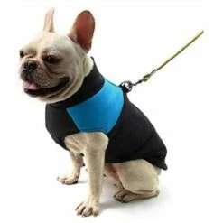 OxoxO Fuel Pétrole Gaz Réservoir + Casquette 50 70 90 110 125 Cc Quad Dirt Bike ATV 4 Wheeler UpYD7SHzg -Atlantic Magasin 91617438 5