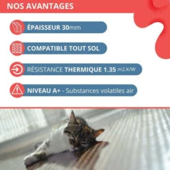 Dalles Isolantes Polyuréthane XTRATHERM - 7 Dalles - R=2.60 - Ep 57mm - 1,2 X 1m - 8,4 M2 7 Dalles Isolantes Polyuréthane XTRATHERM - 7 Dalles - R=2.60 - Ep 57mm - 1,2 X 1m - 8,4 M2 -Atlantic Magasin 95175903 3