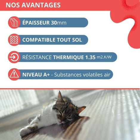 Dalles Isolantes Polyuréthane XTRATHERM - 7 Dalles - R=2.60 - Ep 57mm - 1,2 X 1m - 8,4 M2 3 Dalles Isolantes Polyuréthane XTRATHERM - 7 Dalles - R=2.60 - Ep 57mm - 1,2 X 1m - 8,4 M2 – Image 3